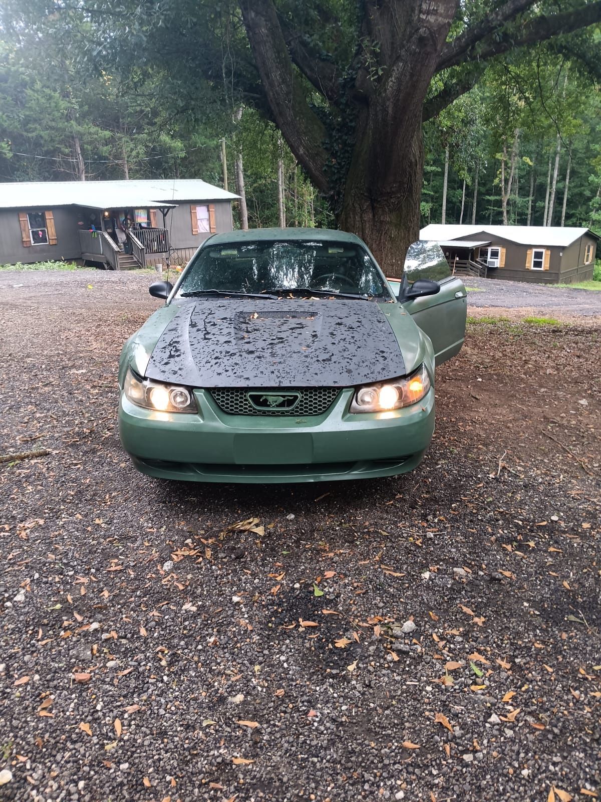 2000 Ford Mustang