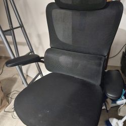 Office Chair With Lumbar Support