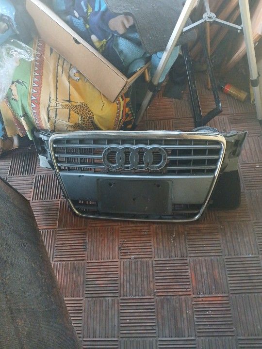 2010 Audi Grill