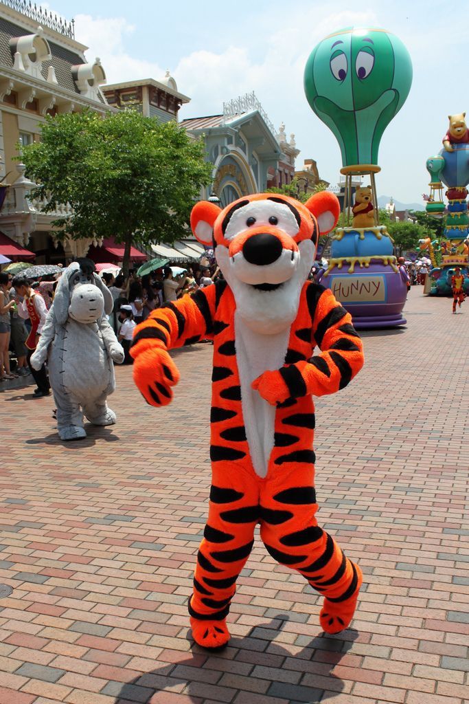 DISNEYLAND PARK HOPPER Digital TICKET