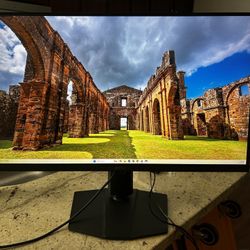 MSI 27" Gaming Monitor - 1440p QHD, 170Hz, IPS, G-Sync (G274QPF)  