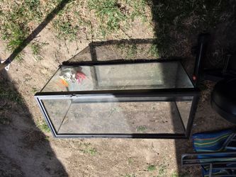 20 Gallon Tank