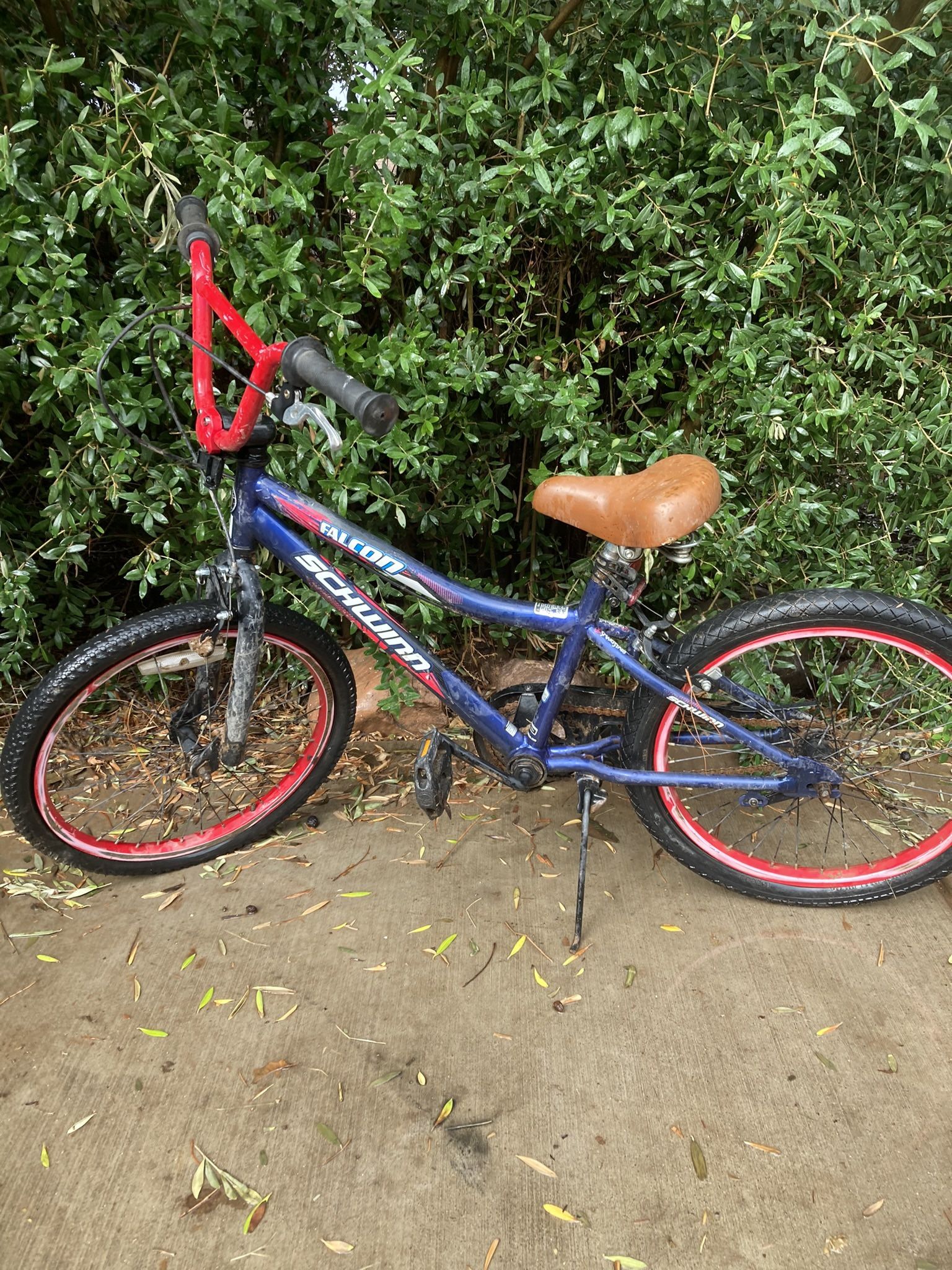 Schwinn Falcon 20" Bike