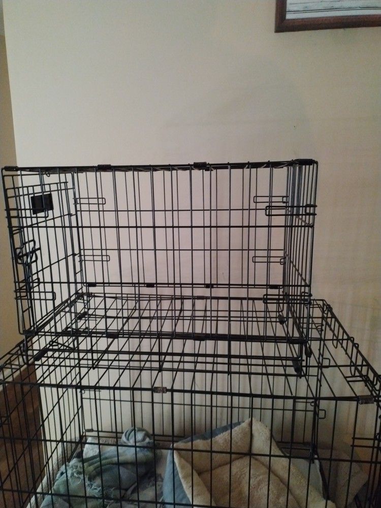 Small Dog Creat