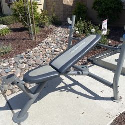 Workout Bench