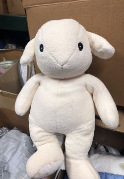 Baby lamb