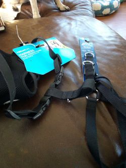 2 brand new dog harnesses for a medium dog