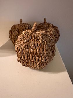 Pumpkin Set Rustic