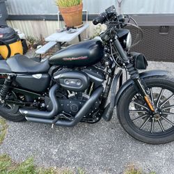 2010 Harley Davidson 883 Iron XL sportster