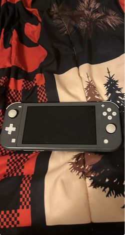 Nintendo lite