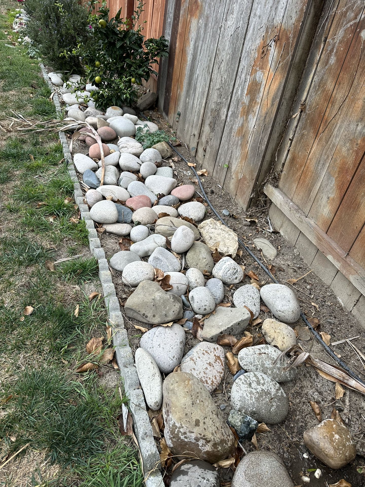 Free Rocks