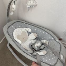 Ingenuity Lamb Rocker