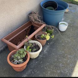 Plants And Pots (All For 30)
