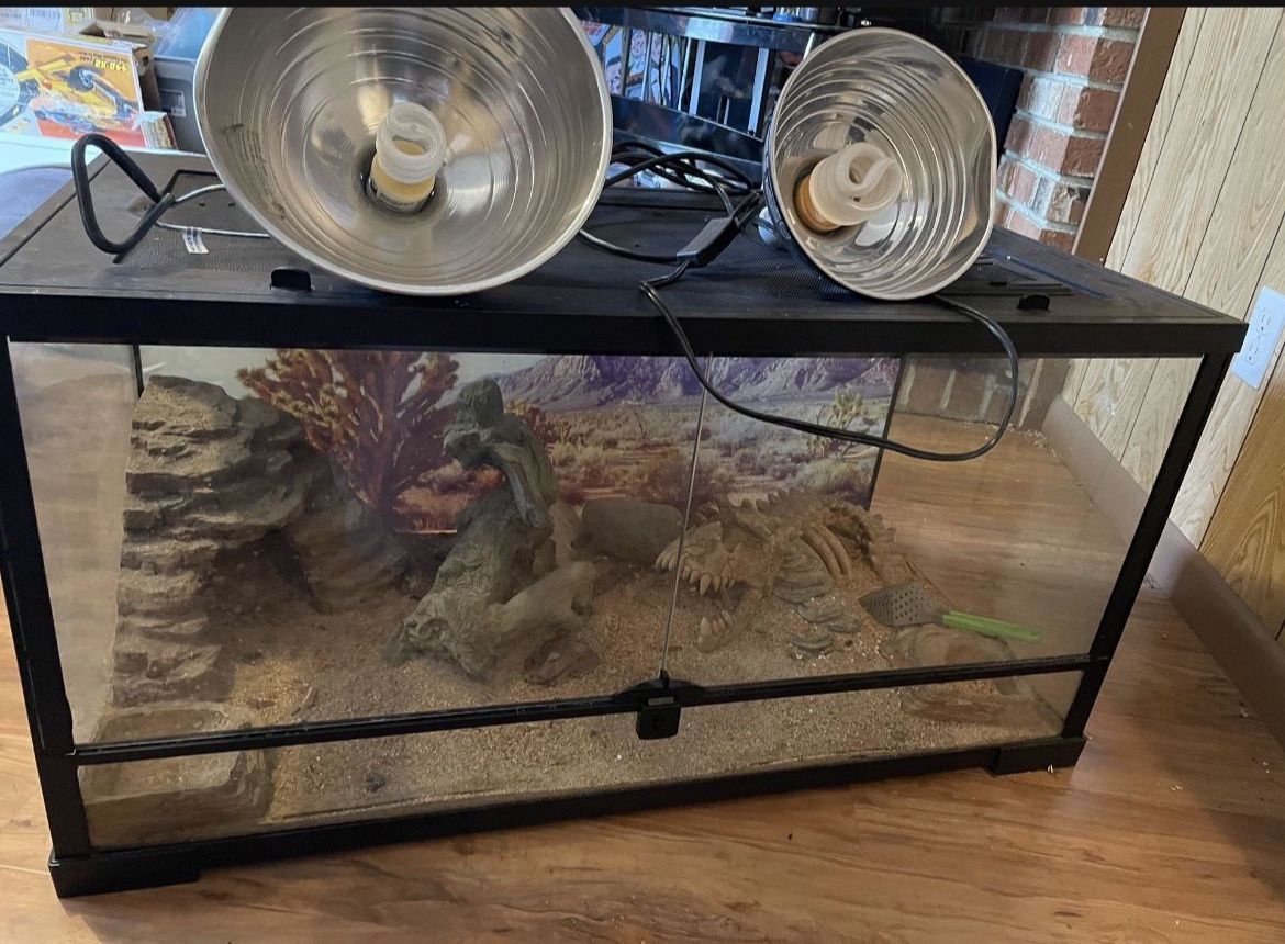 Reptile Tank
