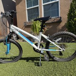 Nishiki Pueblo 20” boys Bicycle 