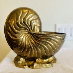 Large Vintage Modernist Brass Nautilus Sea Shell Sculpture, Vase, Wine  Cooler, Ice Bucket,m for Sale in Chandler, AZ - OfferUp