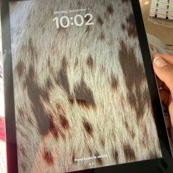 Ipad 5th Gen