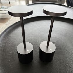 2 cordless table lamps