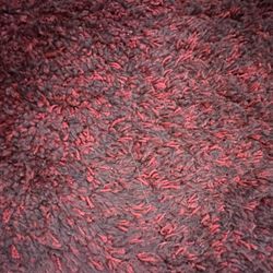 Plush Rug - Warner And McQueen 