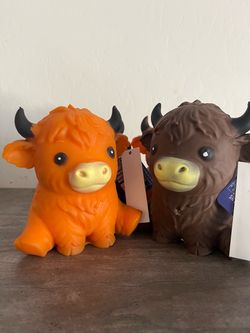 Highland cow