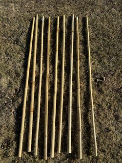 9 Bamboo Canes