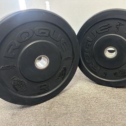 Rogue HG Weight Plates 