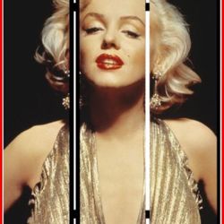 ✨ Stunning Marilyn Monroe Room Divider / Privacy Screen (collector’s item) - 70” x 48” ✨ Price: $150 (Priced to sell!)