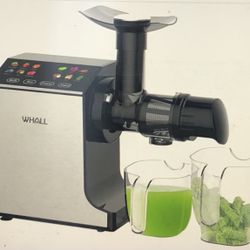 Masticating Professional Slow Juicer