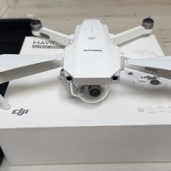 Mavic Pro Alpine White