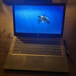 Hp Laptop 