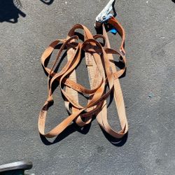 Tie Down Strap For Trucks