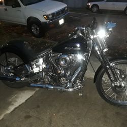 1994 Harley Davidson Custom Rigid Springer
