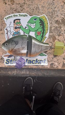 Premium Paint Roman Made South