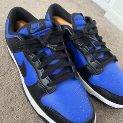 Nike Dunks Brand New 