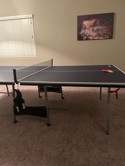 Ping Pong Table with Net and Paddle