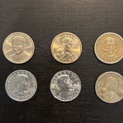 1800-1900 Dollar Coins