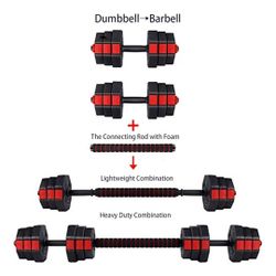 Weights And Weight Bench