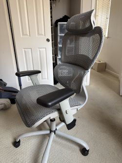 Ergonomic Office Chair