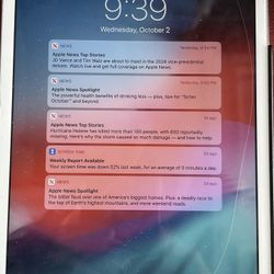 iPad Mini 2