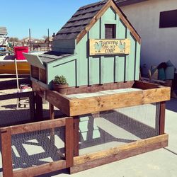Urban Chicken Coop