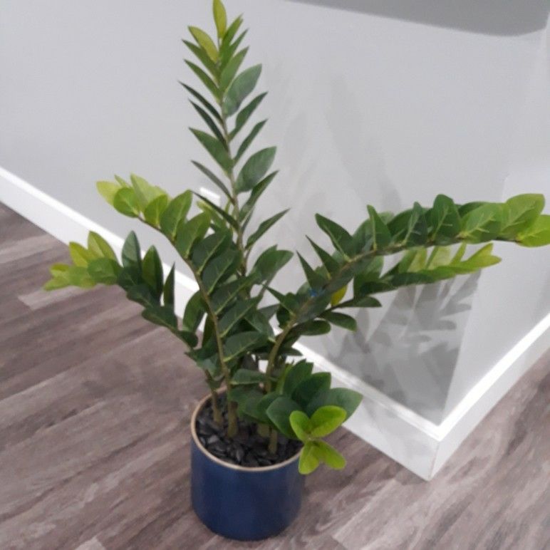 Faux ZZ Plant With Pot