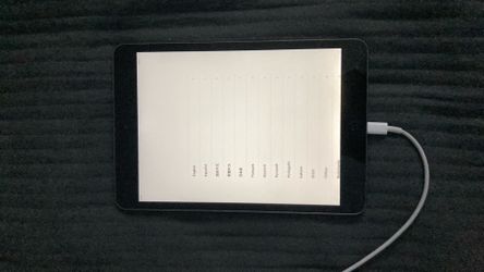 iPAD MINI