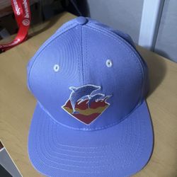 New Pink Dolphin Hat