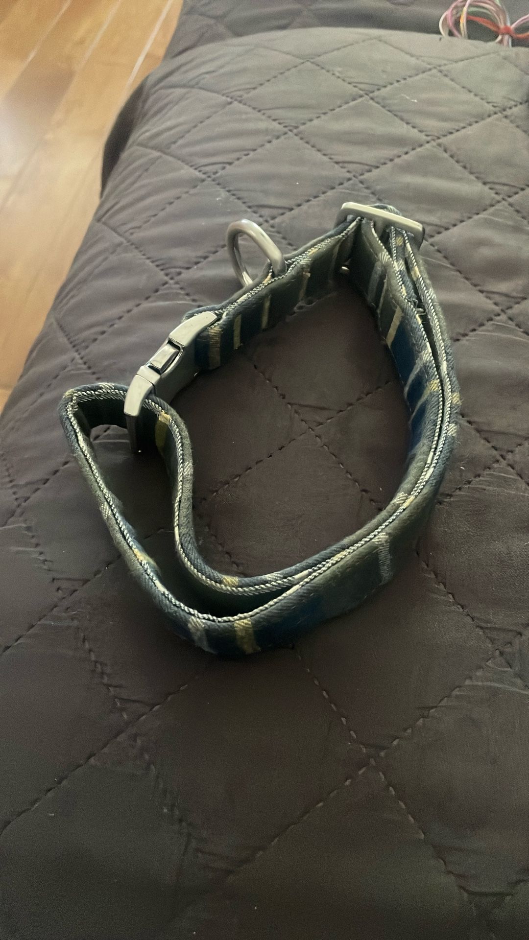 Dog Collar 