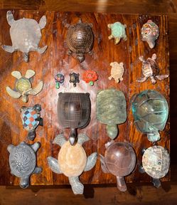 Lot of Turtles Collection