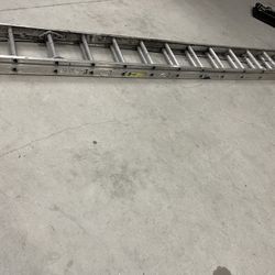 Werner Ladder 28”