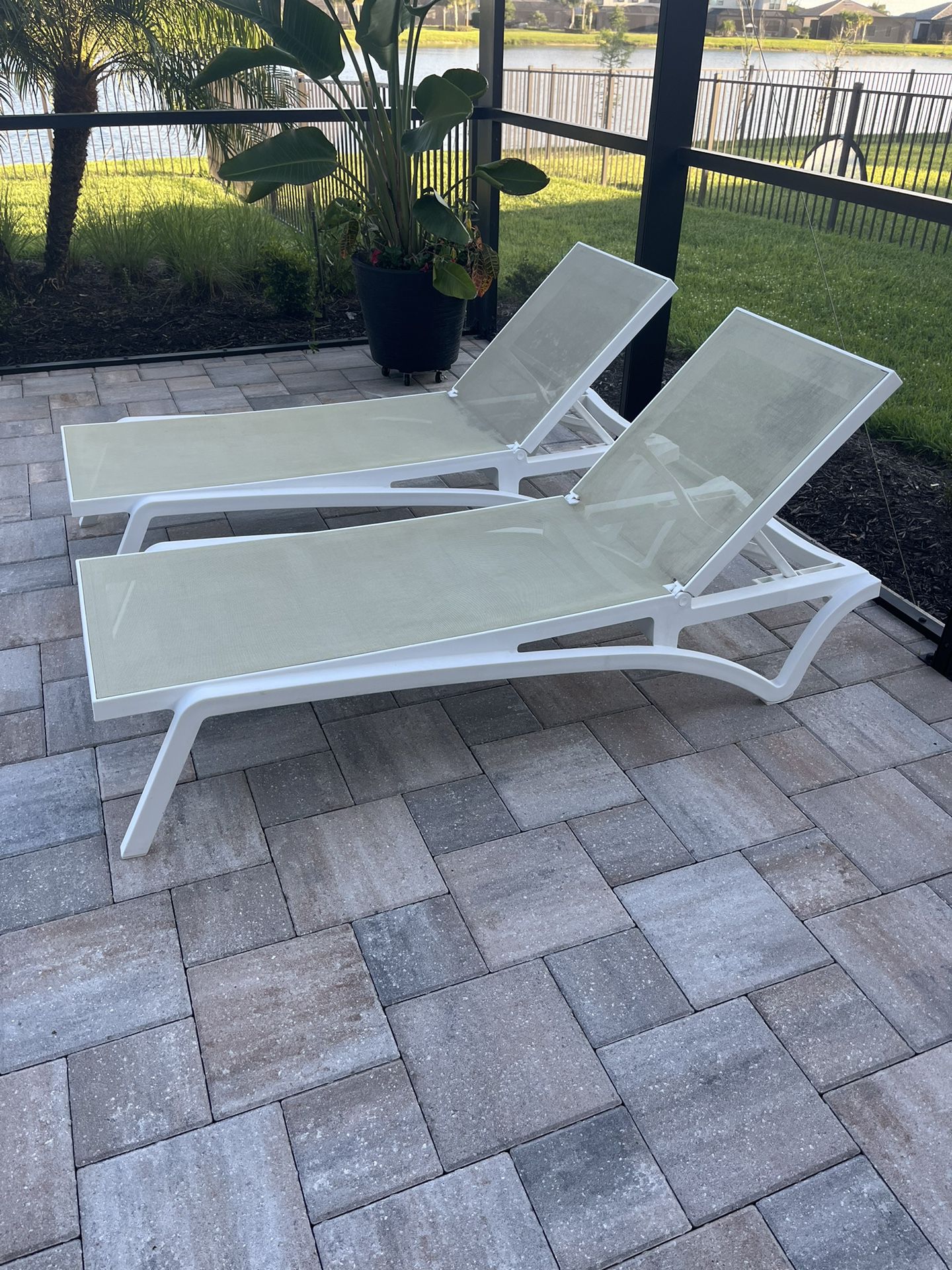 Pool Chaise Loungers