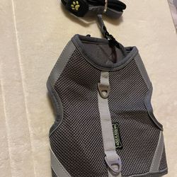 Harness With Leash