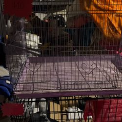 Bird Cage