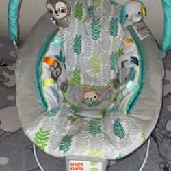 Baby Bouncer 